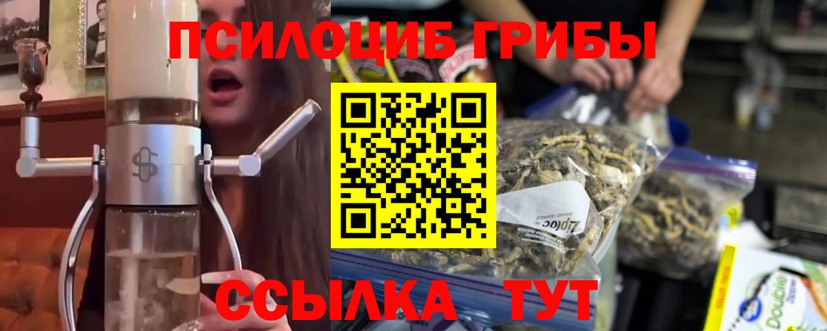 Галлюциногенные грибы Psilocybine cubensis Бугуруслан