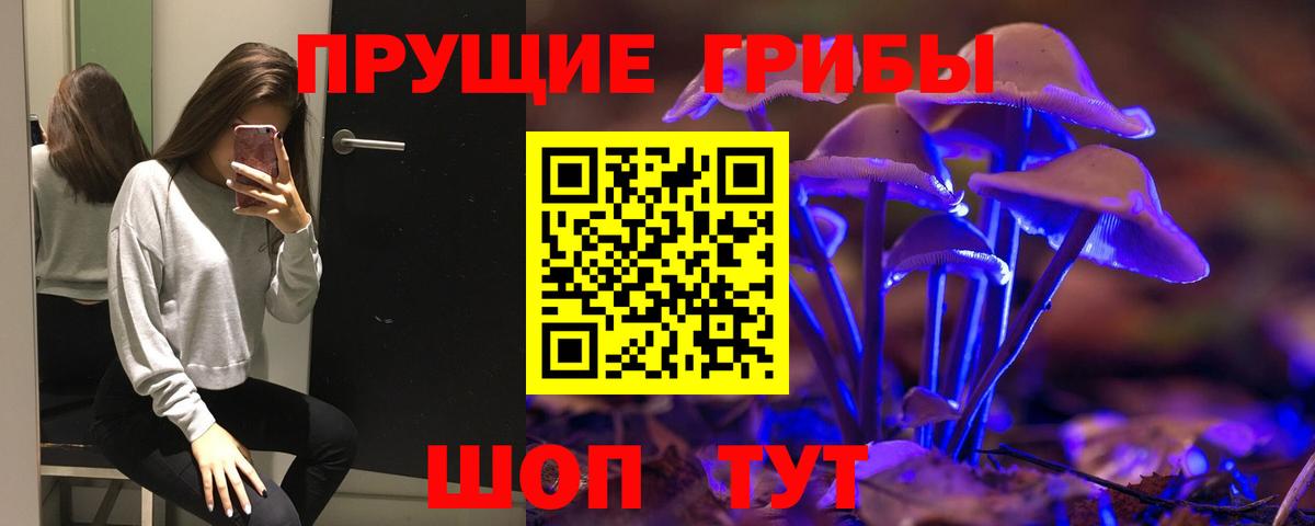 Псилоцибиновые грибы прущие грибы  сколько стоит  Бугуруслан  Вход с VPN 